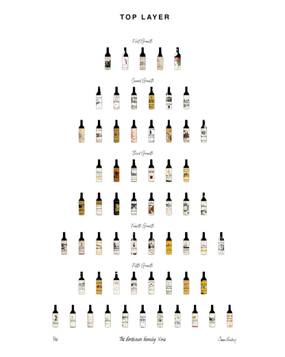 Outside The Bottle - Bordeaux Family Vine 3D