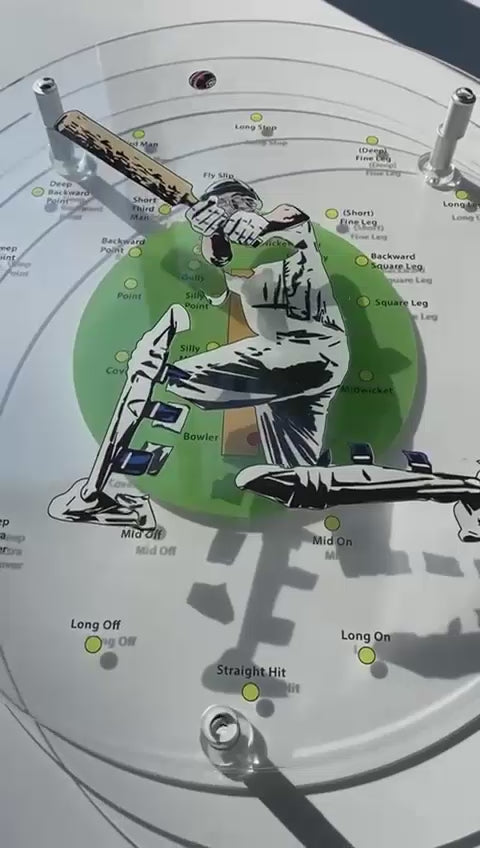 Load video: Commission - Cricket Enthusiast 3D